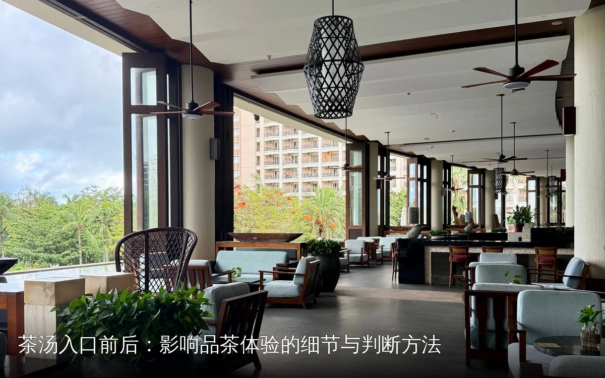 茶汤入口前后：影响品茶体验的细节与判断方法